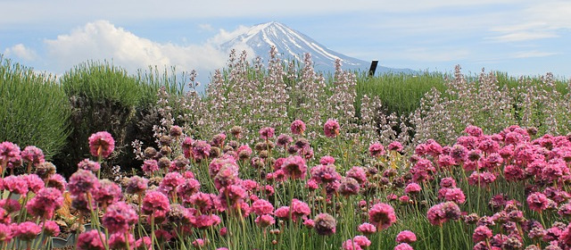 Monte Fuji Giappone